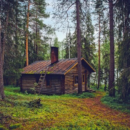a cabin in the woods